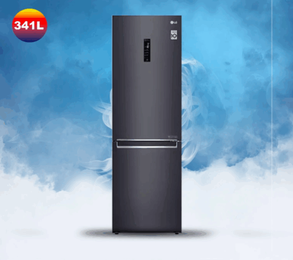Réfrigérateur LG combiné 341L – GR-B479NQDM – Image 3