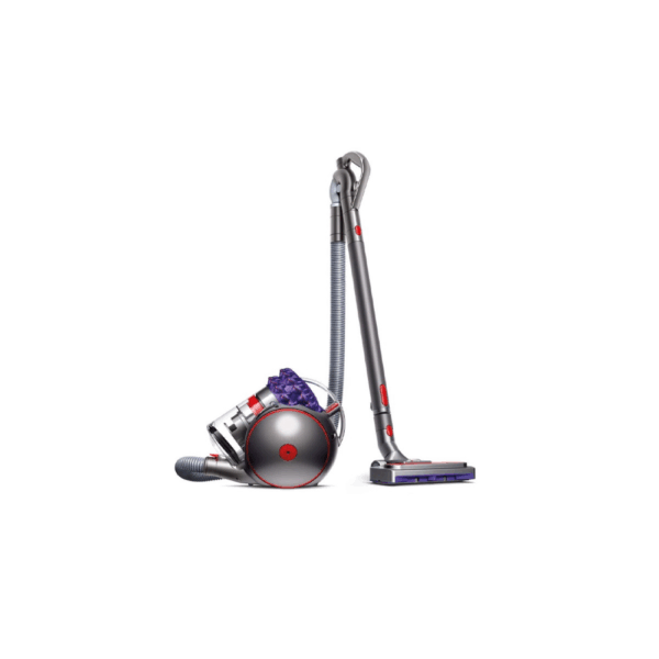 ASPIRATEUR DYSON TRAINEAU BIGBALL